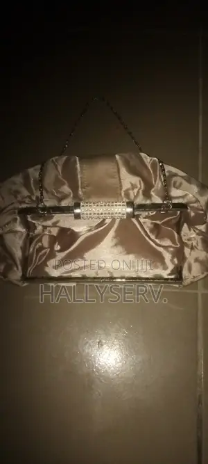 Stylish Purse for Occasions
