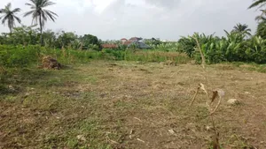 A Plot of Land for Sale
