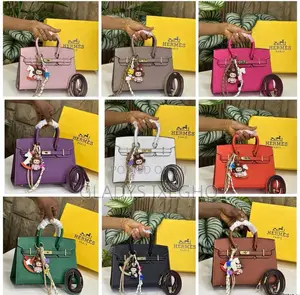Classy Hermes Bag