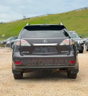 Lexus RX 2010 Silver