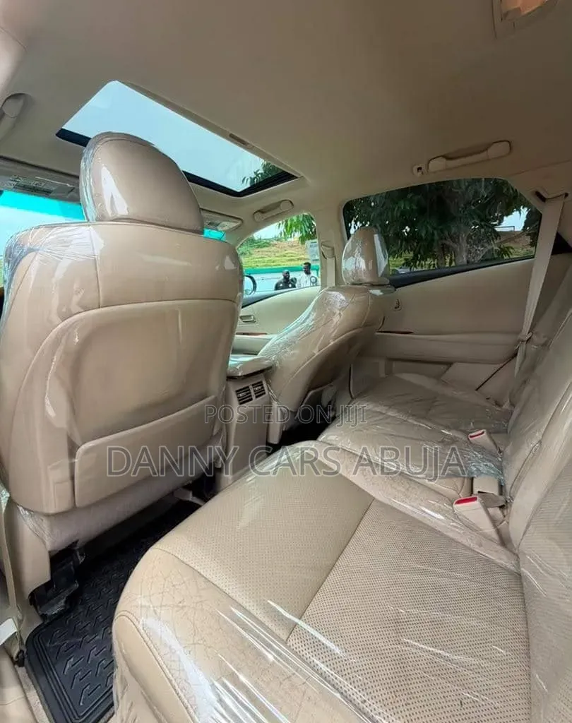 Lexus RX 2010 Silver