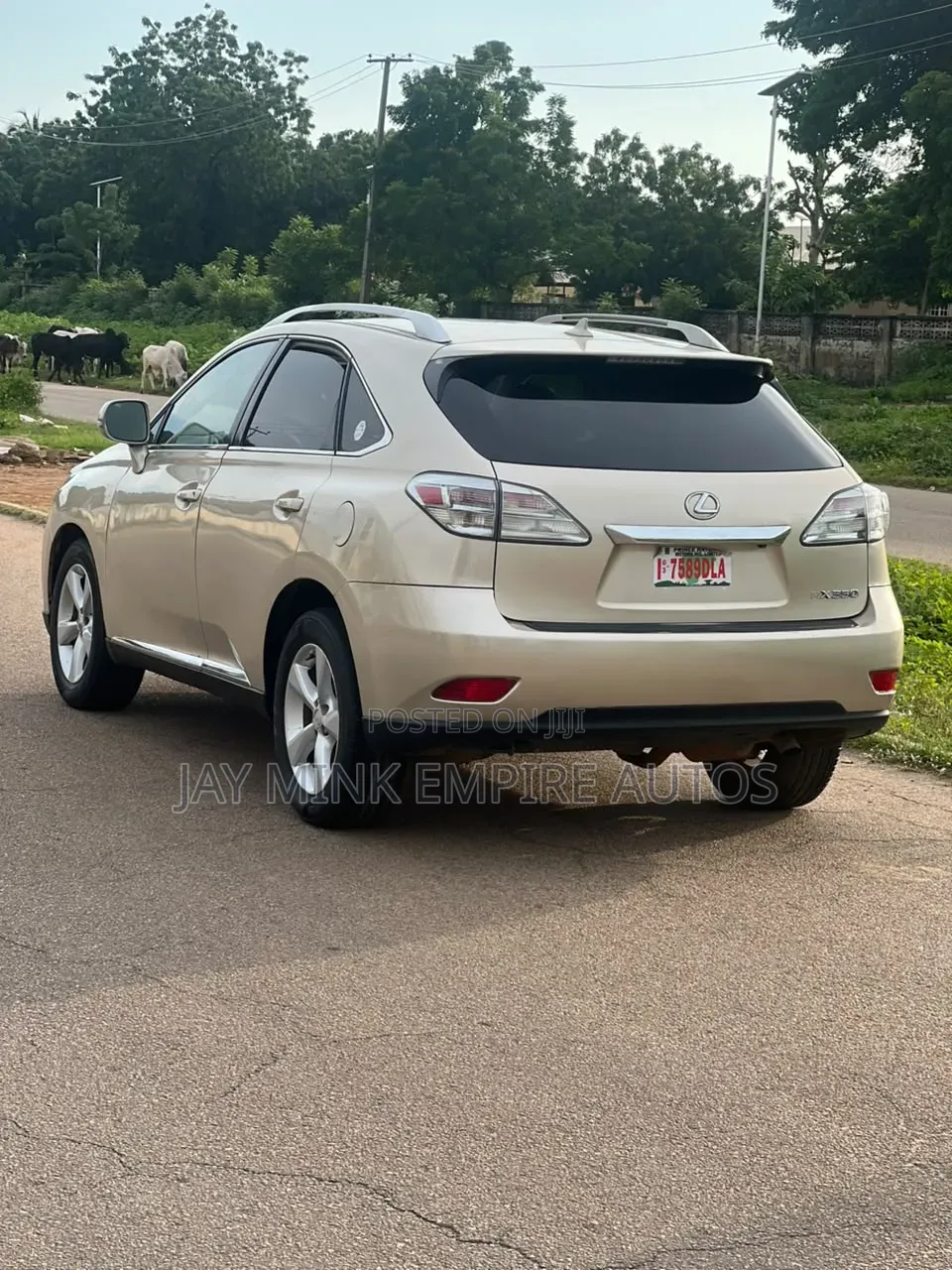 Lexus RX 2012 Gold