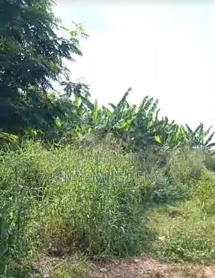 Industrial Land for Sale