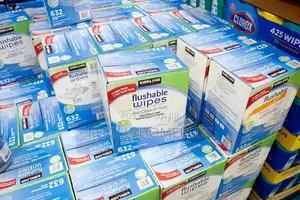 Kirkland Signature Premoistened Flushable Wipes Fragrance Free 640ct