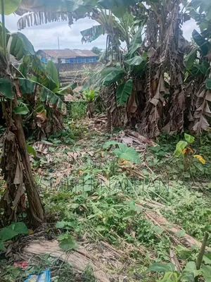 Land at Ketu Epe Lagos