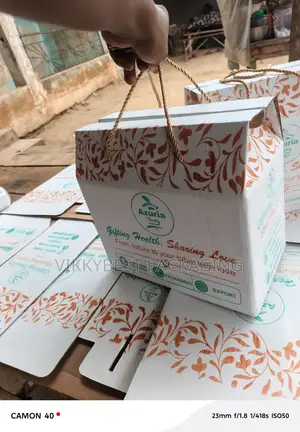 Luxury Carton Board Shopping Bags