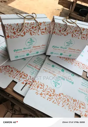 Luxury Carton Board Shopping Bags