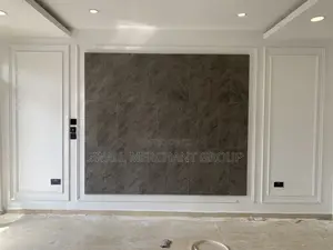 Premium Wall Moulding Design