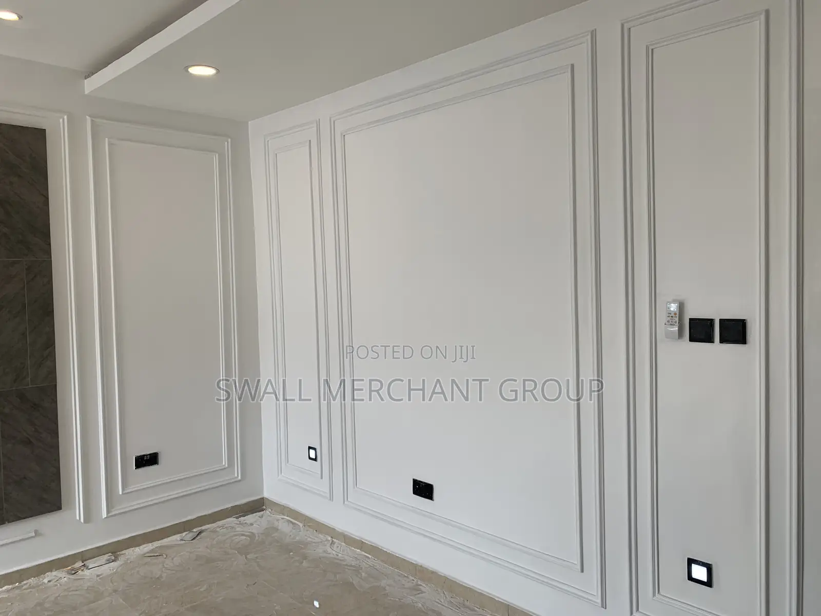 Premium Wall Moulding Design