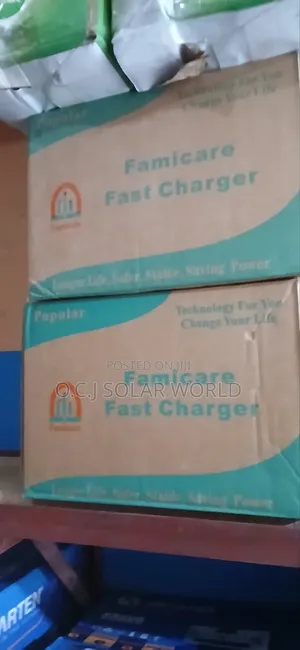 Famicare Solar Battery Charger 12 to 48volts