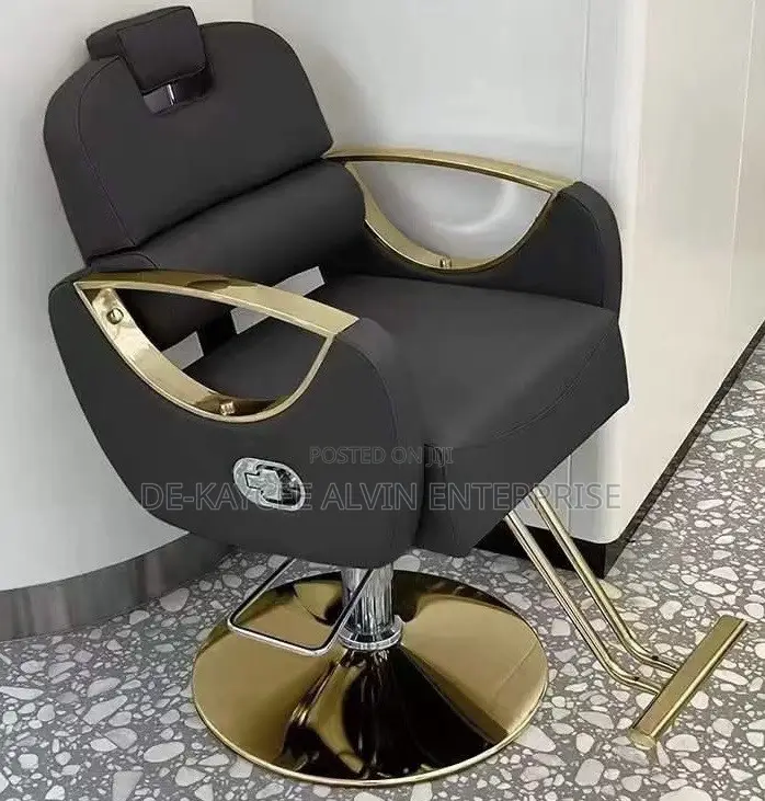 Ergonomic Saloon Chairs