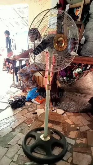 Standing Fan