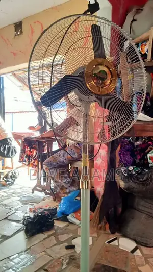 Standing Fan