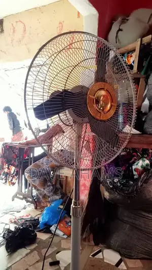 Standing Fan