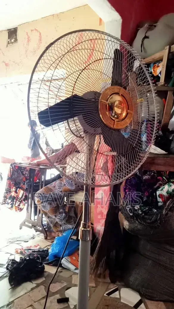 Standing Fan