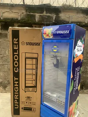 SNOWSEA LC-500W Retail Chilling Cabinet