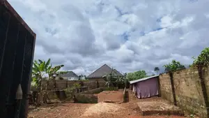 1 Plot Piggery/Poultry Farm Land for Sale – Fenced Developed