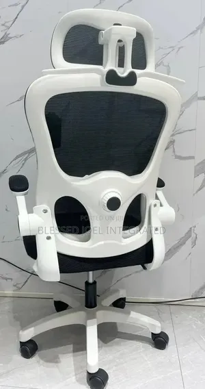 Ergonomic Chair