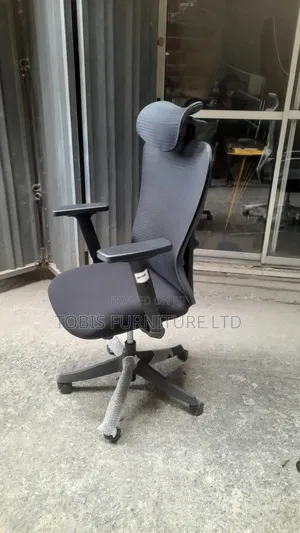 Ergonomic Mesh Office Chair