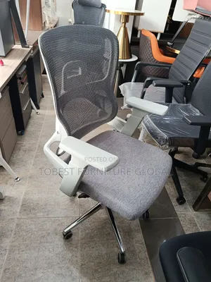 Ergonomic Office Chair