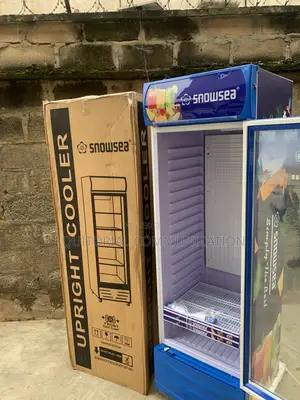 SNOWSEA Upright Showcase Cooler for Business