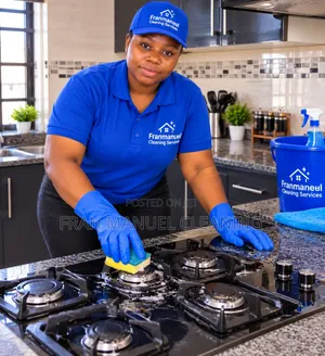 Professional Cleaning Services