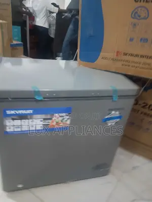 SKYRUN BD-155HW Large Capacity Freezer