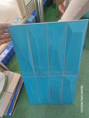 Swimming Pool Tiles 33by60