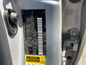 Lexus RX 2010 Gray