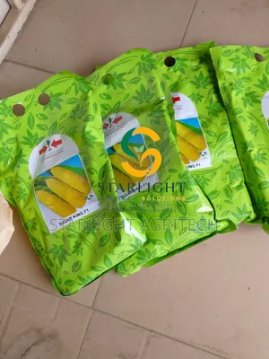 1 Kg Sugar King F1 Sweet Corn