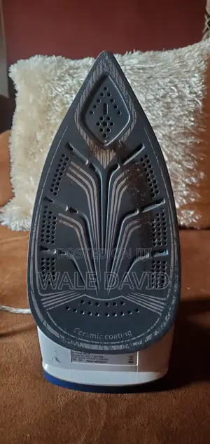 Royal Steam Iron