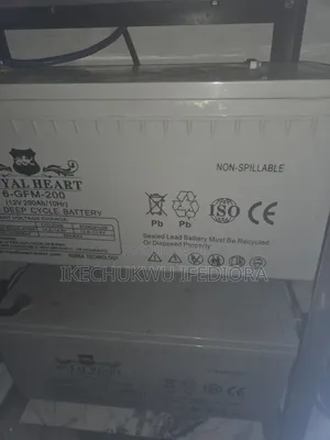 2 Royal Heart 200ah Battery