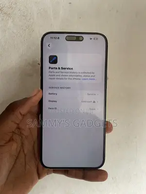 Apple iPhone 15 Pro Max 256 GB Graphite