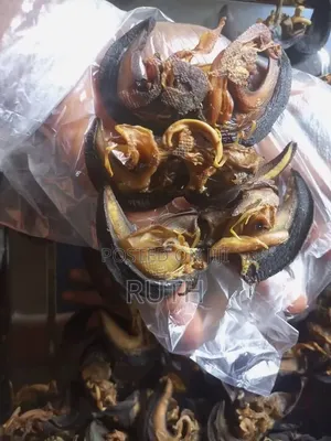 Neatly Dried Snails