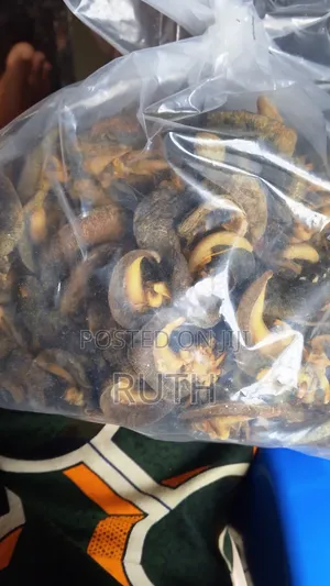 Neatly Dried Snails
