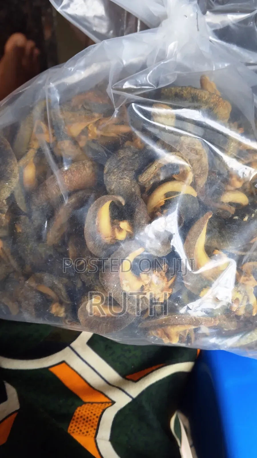 Neatly Dried Snails