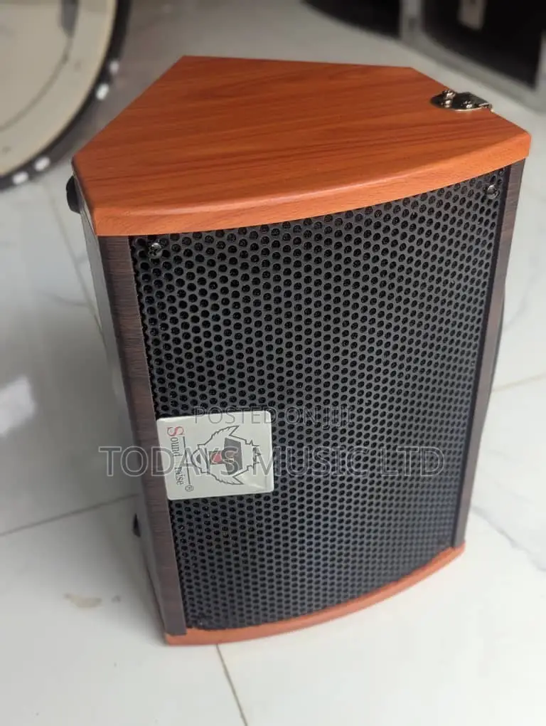 Sound Praise SP-6 Rechargeable Guitar Speaker