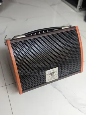 Sound Praise SP-6 Rechargeable Guitar Speaker