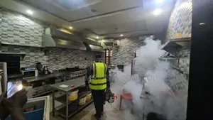 Rprofessional Fumigation Pest Control Services – Lagos