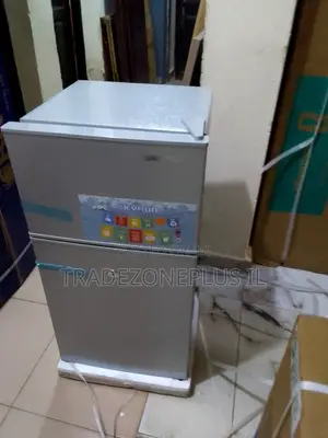 Get Your Affordable Cooling Solution With Skyrun Fridge BCD85