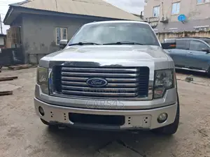 Ford F-150 2011 Gray