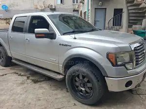 Ford F-150 2011 Gray