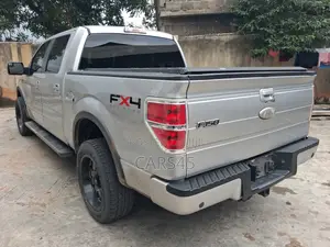 Ford F-150 2011 Gray
