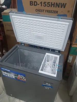 SKYRUN BD-155HW Grocery Storage Freezer