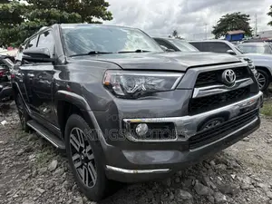 Toyota 4-Runner 2010 Gray