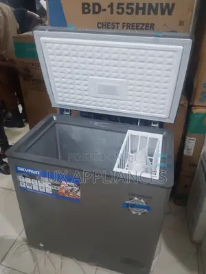 SKYRUN BD-155HW Large Storage Freezer 155L