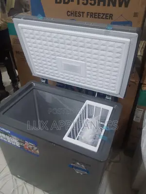 SKYRUN BD-155HW Freezer for Home Use