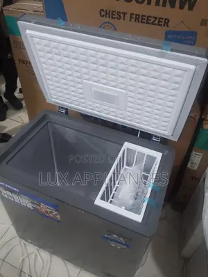 SKYRUN BD-155HW Freezer for Home Use