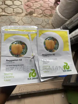 Reggaeton Sweet Pepper