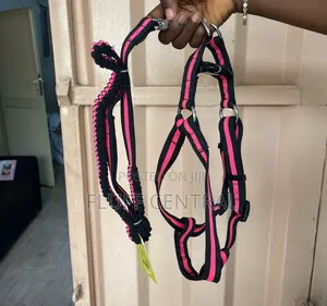 Dog Favor Elastic Lead and Harness 2.5*120cm. (0037E)